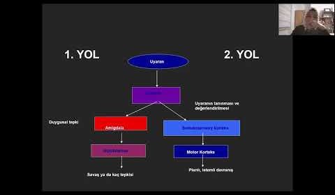 YouTube kapak - tLRyCmsEGJM